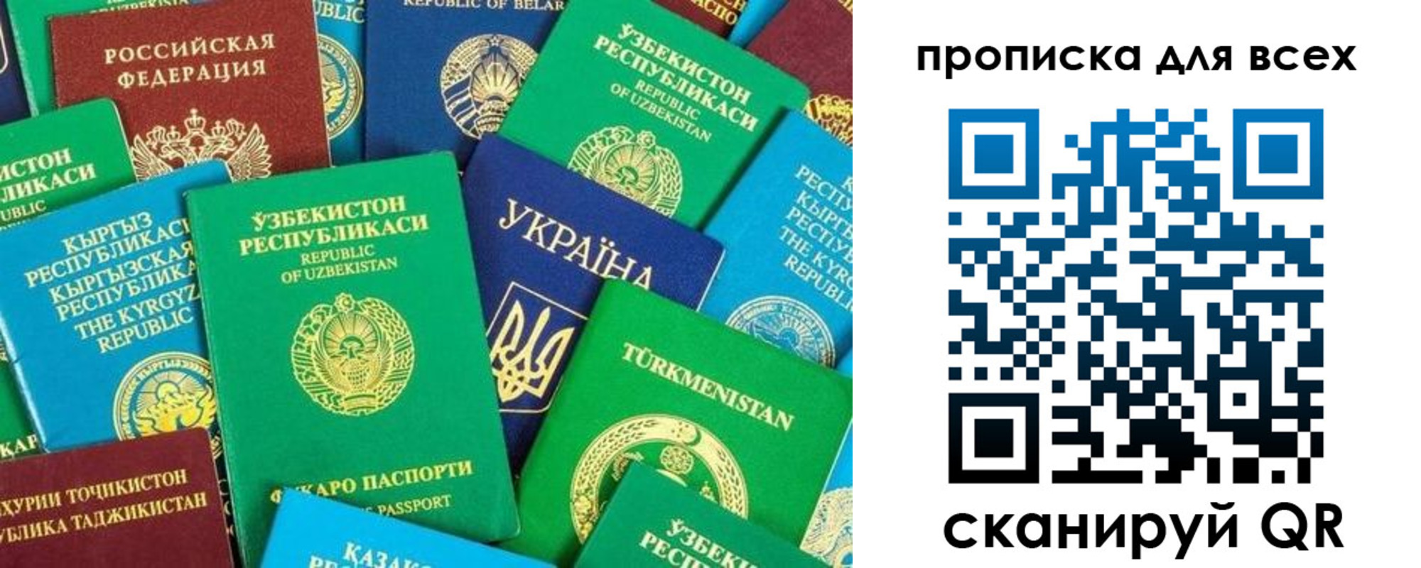 прописка в квартире в Владимире
